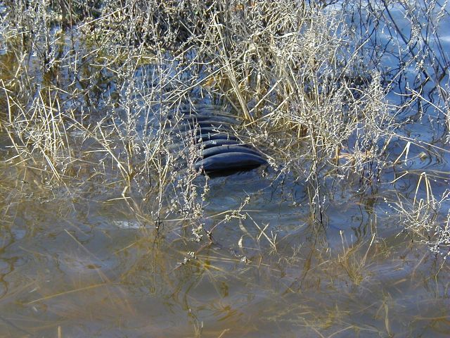 Intake side of valve