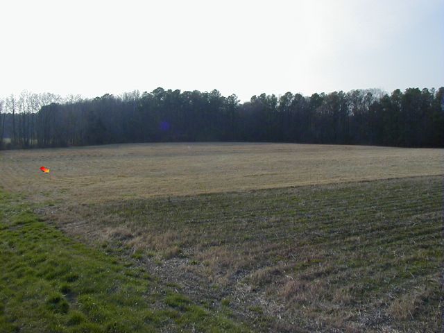 Surveyed field
